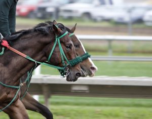 Photo of two horses racing. 