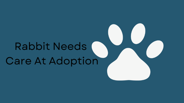 Kelp Social | Animal Welfare Community - Stay Connected