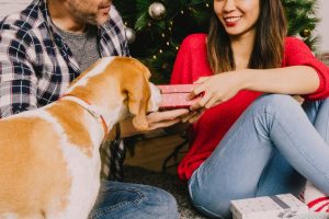 couple celebrating christmas with their dog