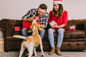 couple with dog during christmas